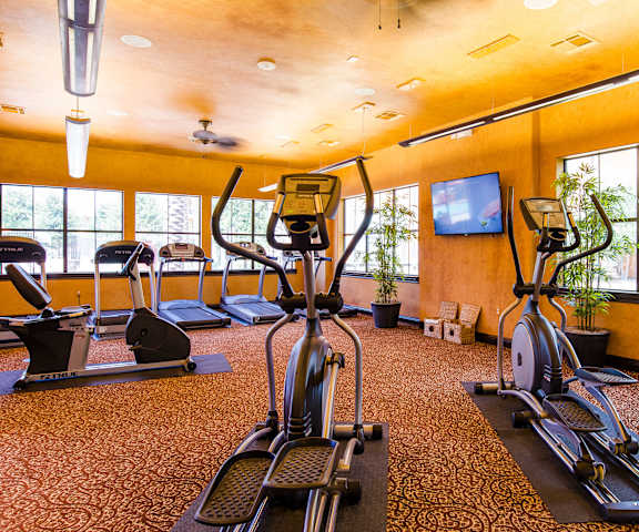 A spacious gym with cardio machines, windows, TVs, and weights at Tuscany at Faduree Apartment Homes. 