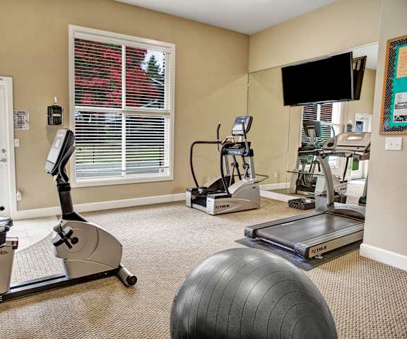 A gym with cardio machines, TVs, and a window at Colonial Square Apartments. 