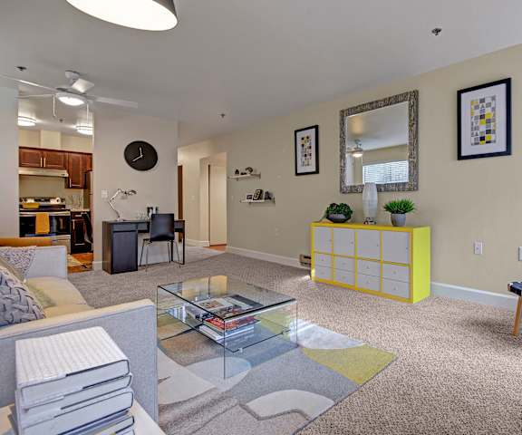 The living room with a couch, coffee table, drawers, decorations, a TV, and a view of the kitchen at Foster Greens. 