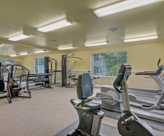 A gym with cardio machines, windows TVs, and weights at Island Park Apartments. 