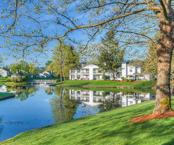 The pond surrounded by grass and trees with the apartments at Island Park Apartments in the background. 