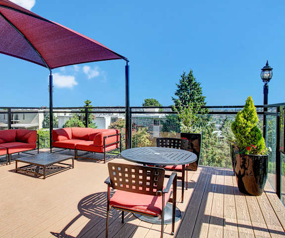 The rooftop balcony lounge with couches, chairs, coffee tables, some in a covered area and others in full sun, and potted plants at Overlook on Magnolia Apartments. 