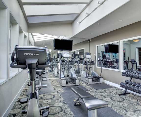 A gym with cardio machines, windows, TVs, and weights at Overlook on Magnolia Apartments. 