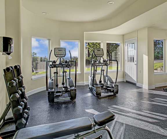 Two ellipticals facing the windows overlooking the lawn and a set of free hand weights with a bike and two treadmills A gym with cardio machines, windows, TVs, and weights at Regency Woods Apartment Homes.
