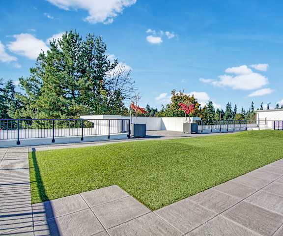 Shared rooftop space with a green patch and small garden The large patch of grass surrounded by concrete paths with trees in the background underneath a blue sky at the Artiste Apartment Homes.