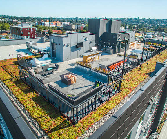 The arial view of the rooftop balcony lounge with couches, chairs, coffee tables, string lights, and potted plants at Vive Apartment Homes. 