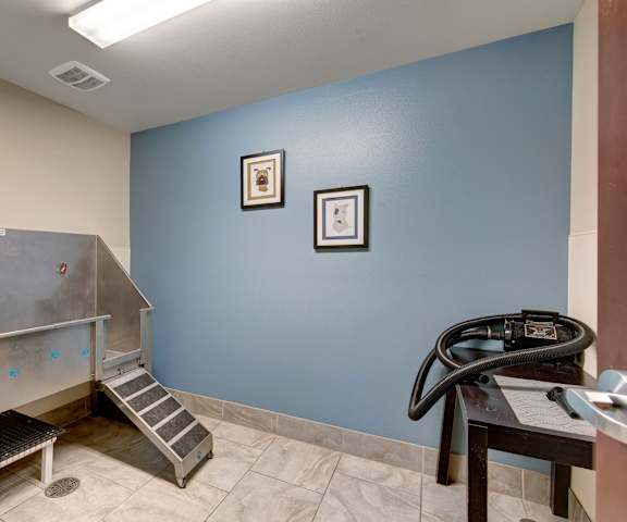 The dog wash station at Avenir Apartments. 