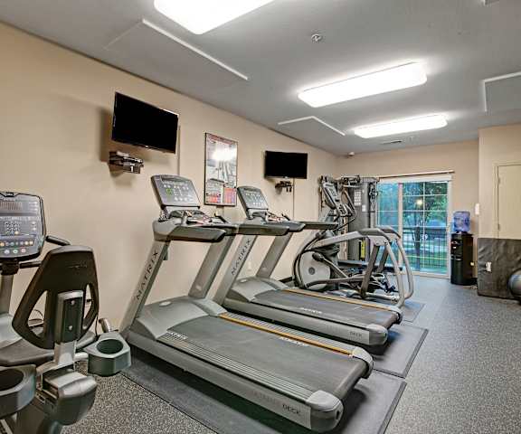 A spacious gym with cardio machines, windows, TVs, and weights at Swan Creek Apartment Homes. 