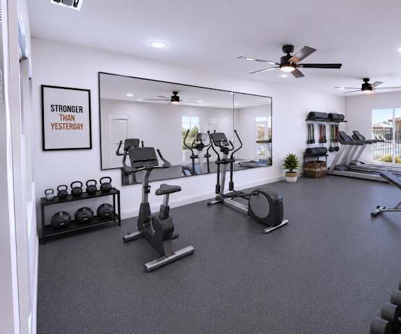 A gym with a mirror, weights, and cardio equipment.