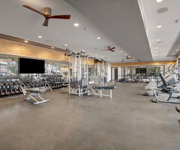 Park on Central Fitness Center
