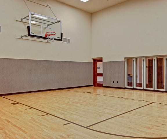Stoneleigh Basketball Court