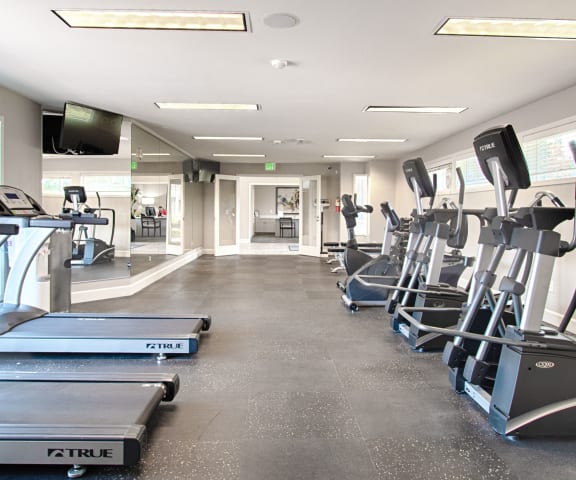 Andorra Apartment- Equipped fitness room