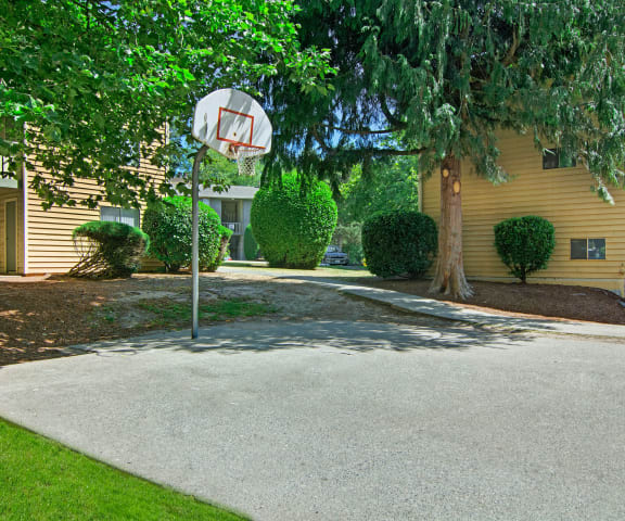 Ridge and Shores Basketball Court Apartments in Federal Way,