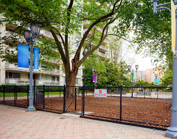a fenced in area with a tree in front of an apartment building at 220 Twentieth Street, Virginia, 22202
