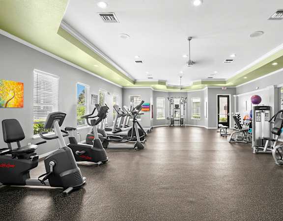 Fully-equipped fitness center - Asprey at Lake Brandon Apartments
