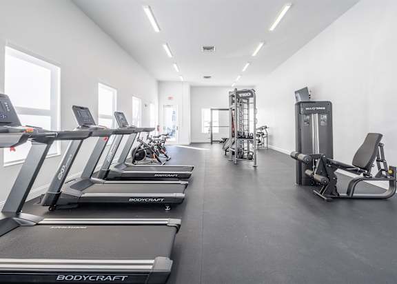 the gym is equipped with cardio equipment and weights