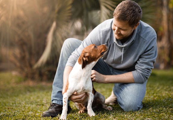 A man is petting a dog in a grassy area. at Spring Meadow Apartments, Glendale, AZ, 85302