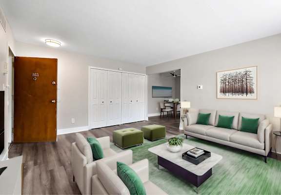 A living room with a white couch and a green rug.