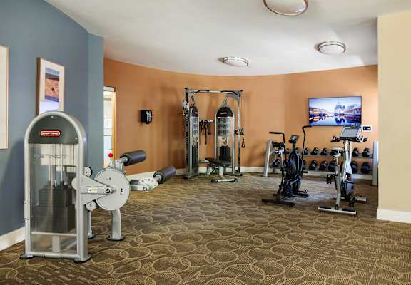 A gym with a variety of equipment including a treadmill, weights, and a television.