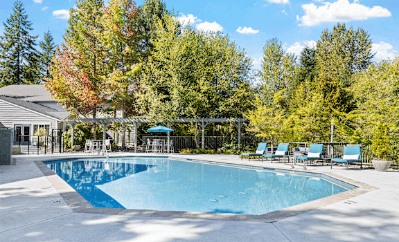 A large outdoor swimming pool surrounded by trees and lounge chairs.