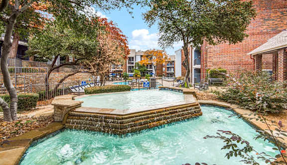A small pool surrounded by trees and plants.