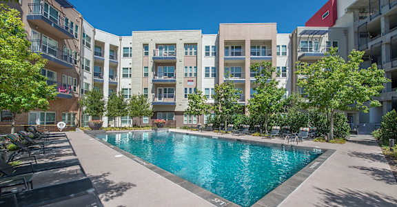 Community Pool with Sun Decks at South Side Flats in Dallas, 75215