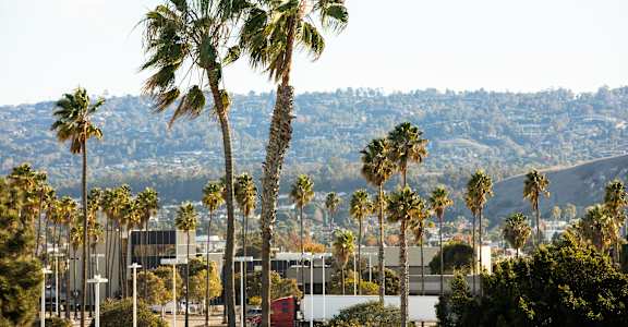 Palm trees sway in the breeze in front of a city skyline.