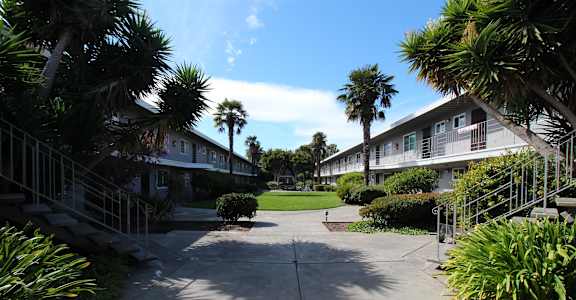 a sidewalk with palm trees in front of houses