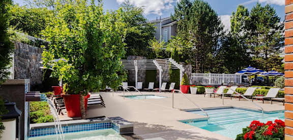 our apartments have a large pool and spa with chairs and plants at Residences at Stevens Pond, Saugus, Massachusetts 01906