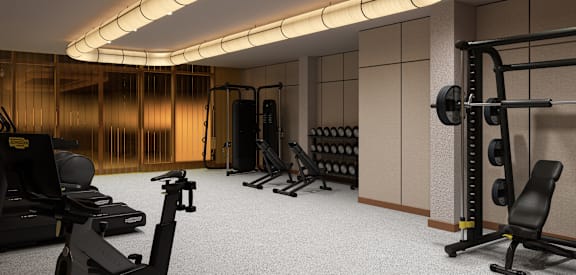 a gym with weights and other exercise equipment and a ceiling light