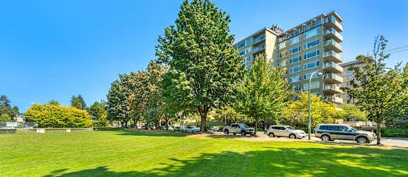 A large grassy field with trees and cars parked in the background.
