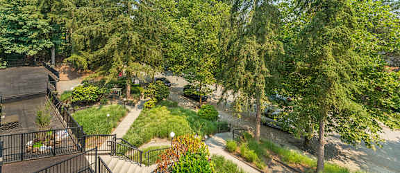 A view from a balcony overlooking a lush green garden.