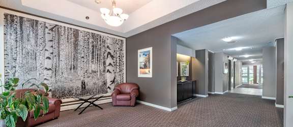A room with a grey carpet and a wall with a tree pattern.