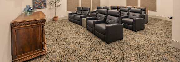 Movie Theatre at The Villas at Ellis Manor, Fresno, 93720