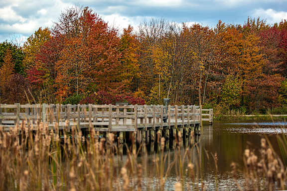 A wooden bridge over a body of water with autumn trees in the background.