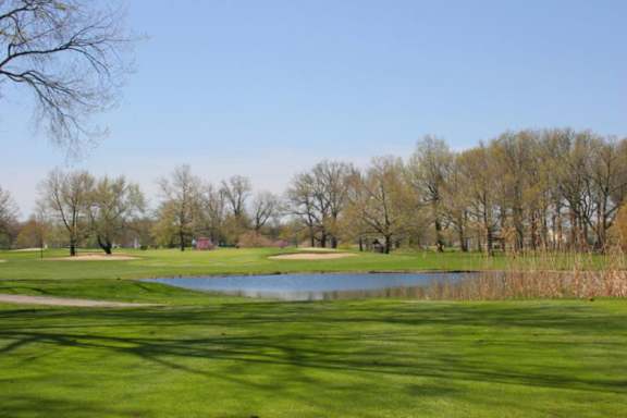 A green field with a pond and trees in the background.