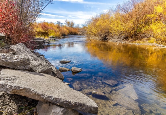 a river with rocks and trees in the background at Madison Park, Montana, 59718