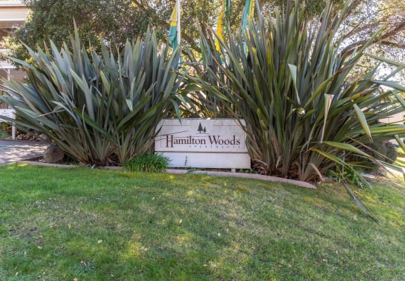 Hamilton Woods Apartments in Novato CA