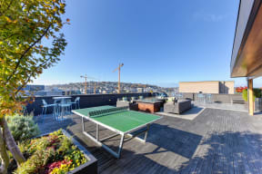Rooftop Ping Pong Table and Lounge Area with Trees