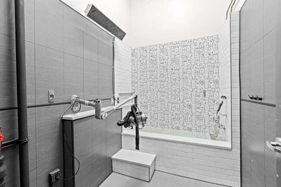 Updated Pet Spa, A tiled room with lifted pet washing station and blow dryer