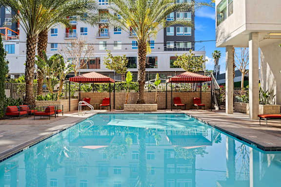 A swimming pool surrounded by palm trees and red lounge chairs.
