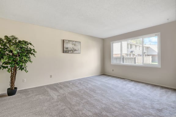 An empty carpeted bedroom with a window, a plant, artwork at Ranchlands Apartment Homes. 