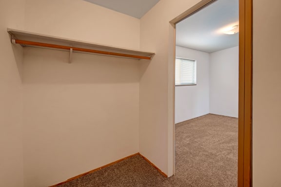An empty walk-in closet attached to a large empty bedroom with a window and overhead lighting at Willow View Apartment Homes. 