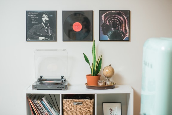 a shelf with a plant and some pictures on the wall
