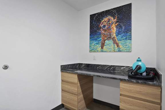 Pet Cleaning Area at The Flats at Riverwoods, Provo, UT, 84604