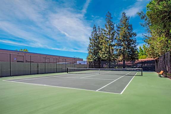 A tennis court surrounded by a fence and trees.