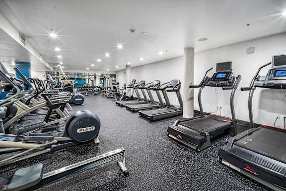 A gym with treadmills, elliptical machines, and other exercise equipment.