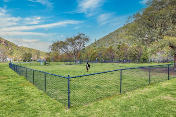 a dog running through a field behind a fence  at Mission Hills, California