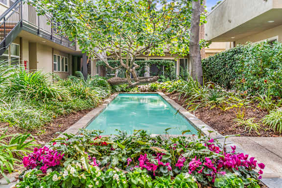 A pool surrounded by green plants and trees.