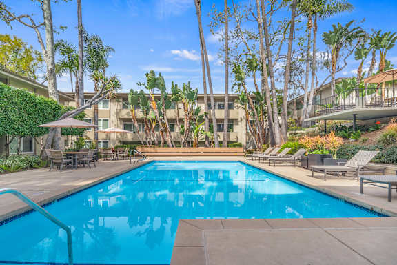 A swimming pool surrounded by palm trees and lounge chairs.